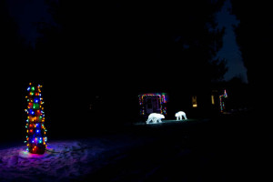 Welcome to Boo Manor. Friendly to bears and lovers of the holidays. 